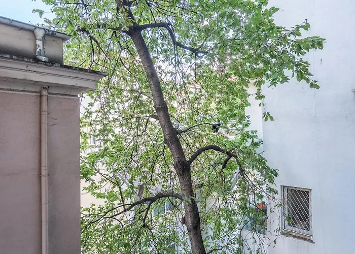 Stylish & Funcional 1 Bdrm In Sofia's Heart * Sofia