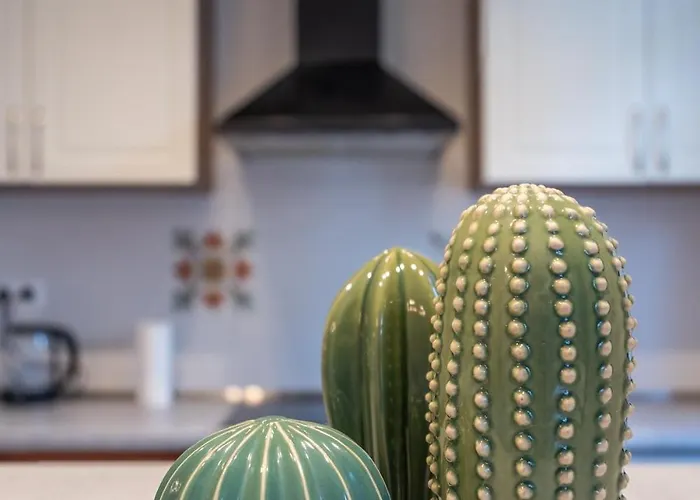 Stylish & Funcional 1 Bdrm In Sofia's Heart * Sofia